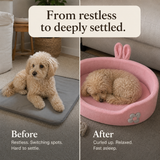 SnugDen Calming Dog Bed