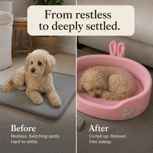 SnugDen Calming Dog Bed